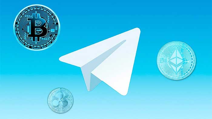 Rex Exchange