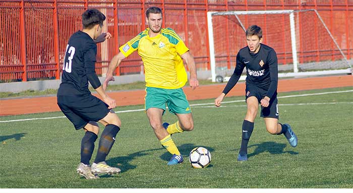Гамисония Ника
