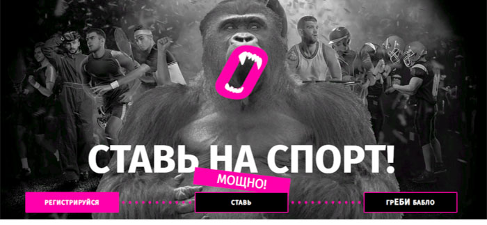 Горилла ставки на баскетбол онлайн