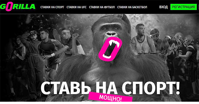 Горилла ставки на Бокс онлайн