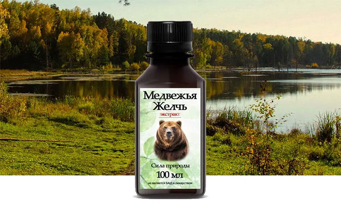 медвежья желчь